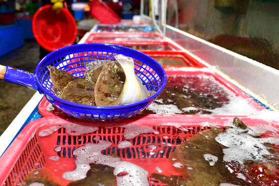 제철 맞이한 도다리