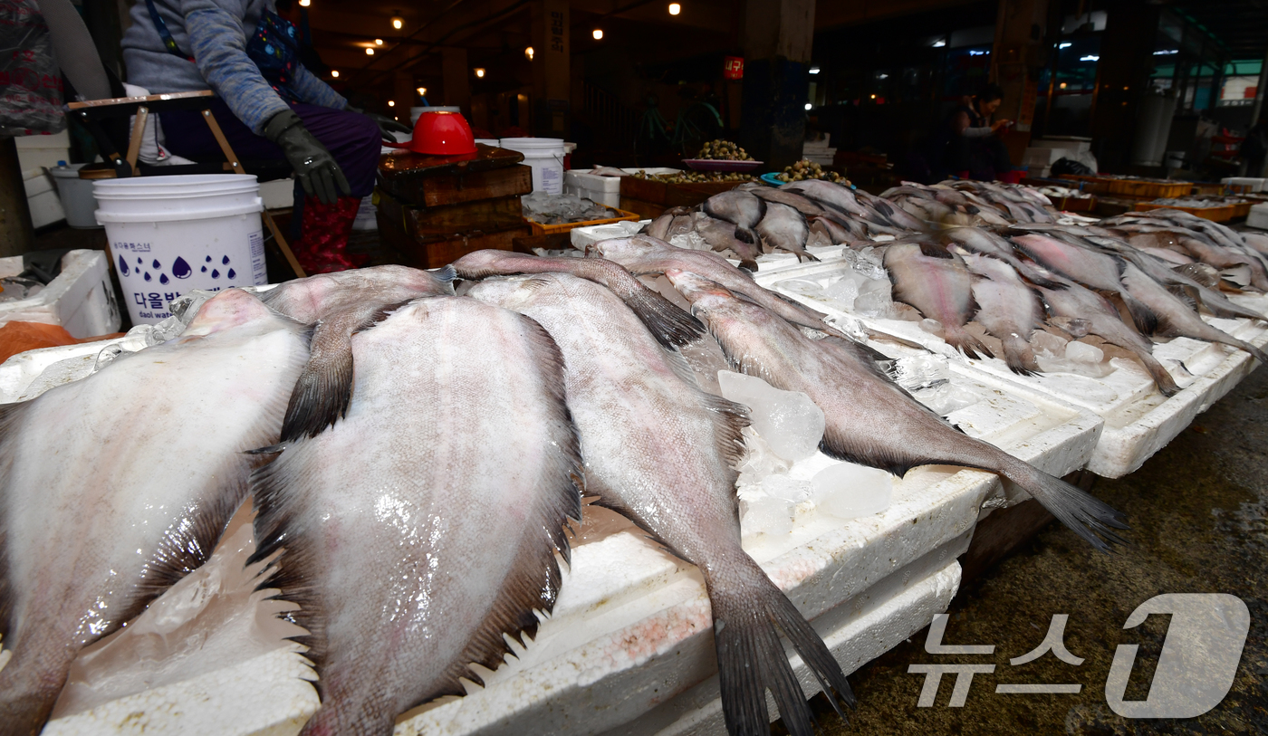 (포항=뉴스1) 최창호 기자 = 6일 경북 포항시 죽도어시장에서 상인이 물가자미(미주구리)를 판매하고 있다. 2026.4.6/뉴스1