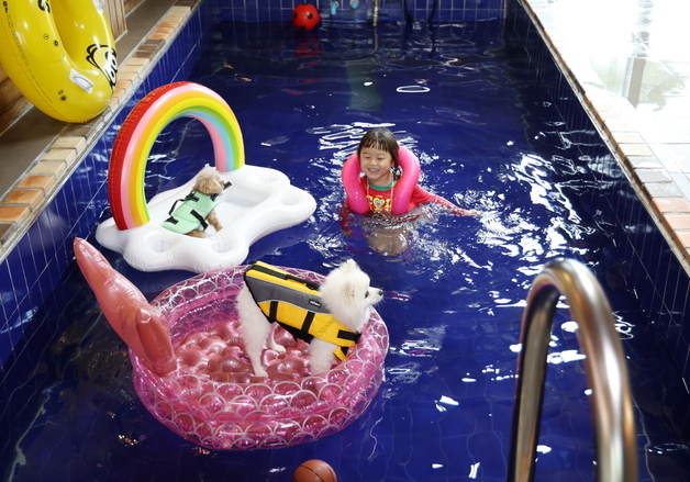 태안군, 반려동물 동반 여행객 유치…최대 3만원 숙박 할인