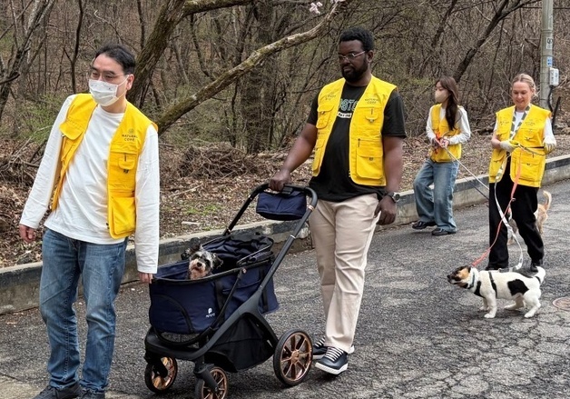 네츄럴코어 '글로벌 프렌즈 봉사단', 보호동물 해외 입양도 돕는다