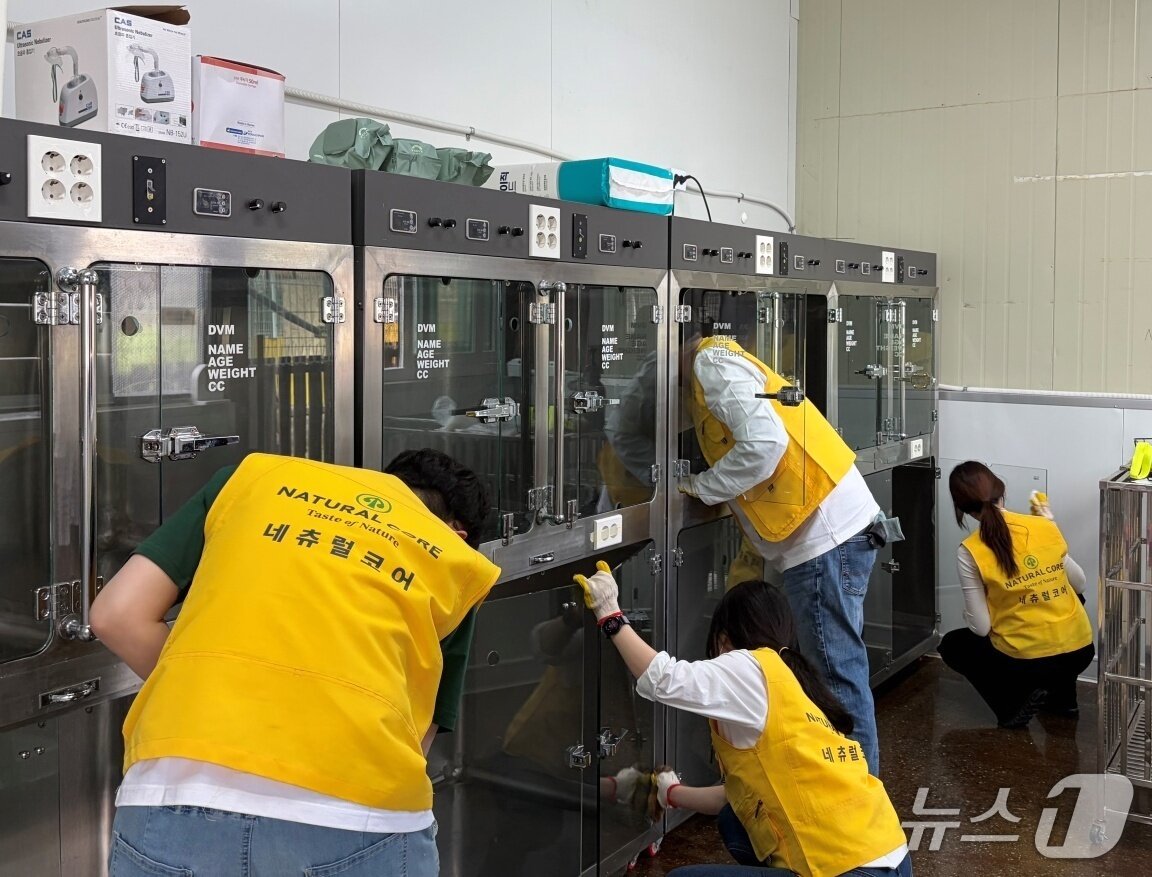 본문 이미지 - 글로벌 프렌즈 봉사단은 4일 경기 성남에 위치한 동물보호소에서 안드레의바다와 함께 봉사활동을 진행했다(네츄럴코어 제공). ⓒ 뉴스1