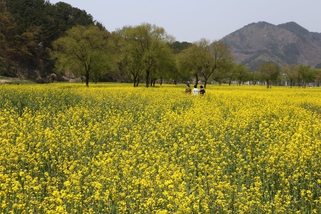 옥천군, SNS 참여형 관광 이벤트…전통문화체험관 숙박권 제공