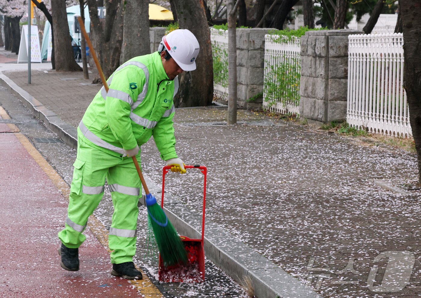 본문 이미지 - 봄비가 내리는 6일 서울 영등포구 윤중로에서 열린 여의도 벚꽃축제에 한 환경미화원이 떨어진 벚꽃잎을 청소하고 있다. 2026.4.6 ⓒ 뉴스1 김진환 기자