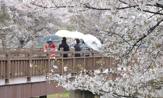 [오늘의 날씨] 강원(9일, 목)…흐리고 도 전역에 비