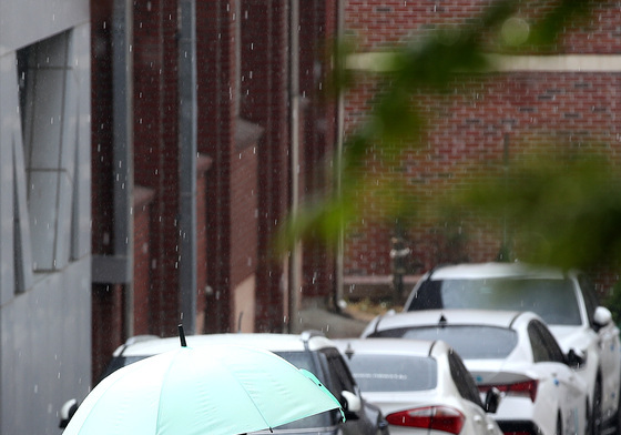 우박과 함께 내리는 봄비