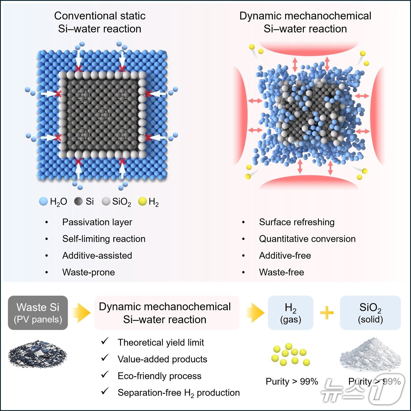 본문 이미지 - 실리콘과 물의 반응을 통해 고순도 수소와 실리카를 동시에 생산하는 기술(UNIST 제공. 재판매 및 DB금지)/뉴스1