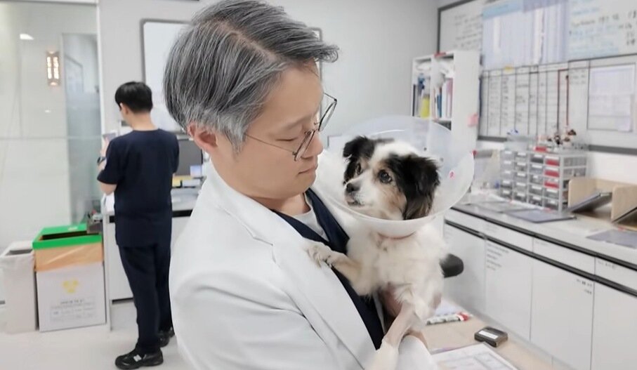 본문 이미지 - 이선태 센터장이 복순이를 살펴보고 있다(유튜브 갈무리). ⓒ 뉴스1