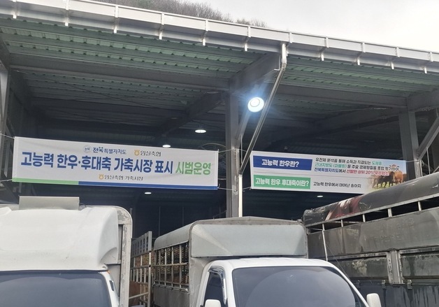 전북도 '고능력 한우 거래 표시제' 도입…한우산업 품질 중심으로