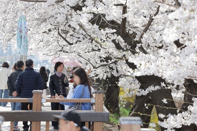 [오늘의 날씨] 충북·세종(7일, 화)…아침기온 '뚝' 얼음 어는 곳도