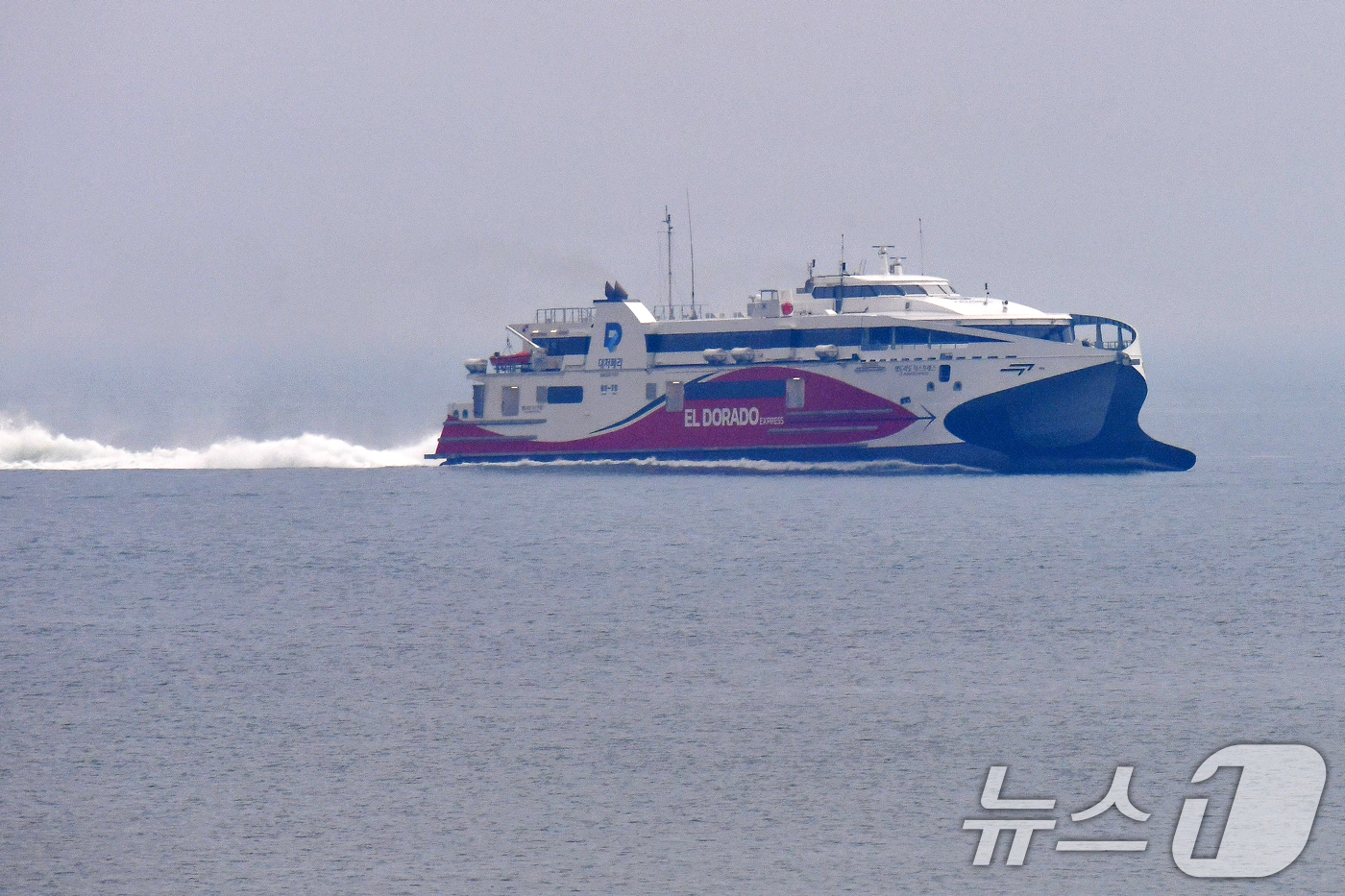 (포항=뉴스1) 최창호 기자 = 경북 포항여객선터미널에 포항~울릉 정기여객선인 대저페리의 엘도라도 익스프레스호가 정비를 마친 후 입항하고 있다. 이 배는 승객 970명과 화물 25 …