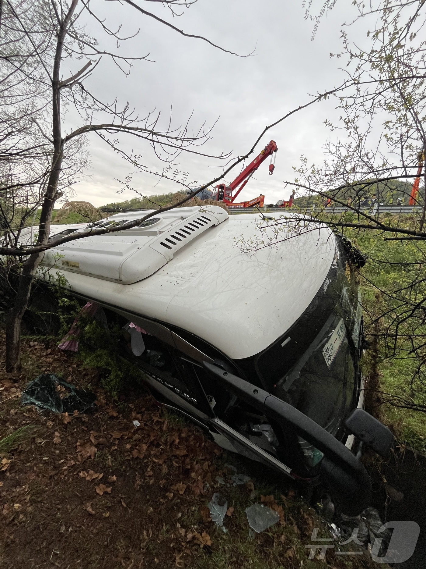 (대구=뉴스1) 공정식 기자 = 6일 오후 4시10분쯤 대구 북구 팔달동 금호분기점 인근에서 28인승 시외버스 1대가 가드레일을 들이받은 후 5m 아래로 추락했다. 이 사고로 경상 …