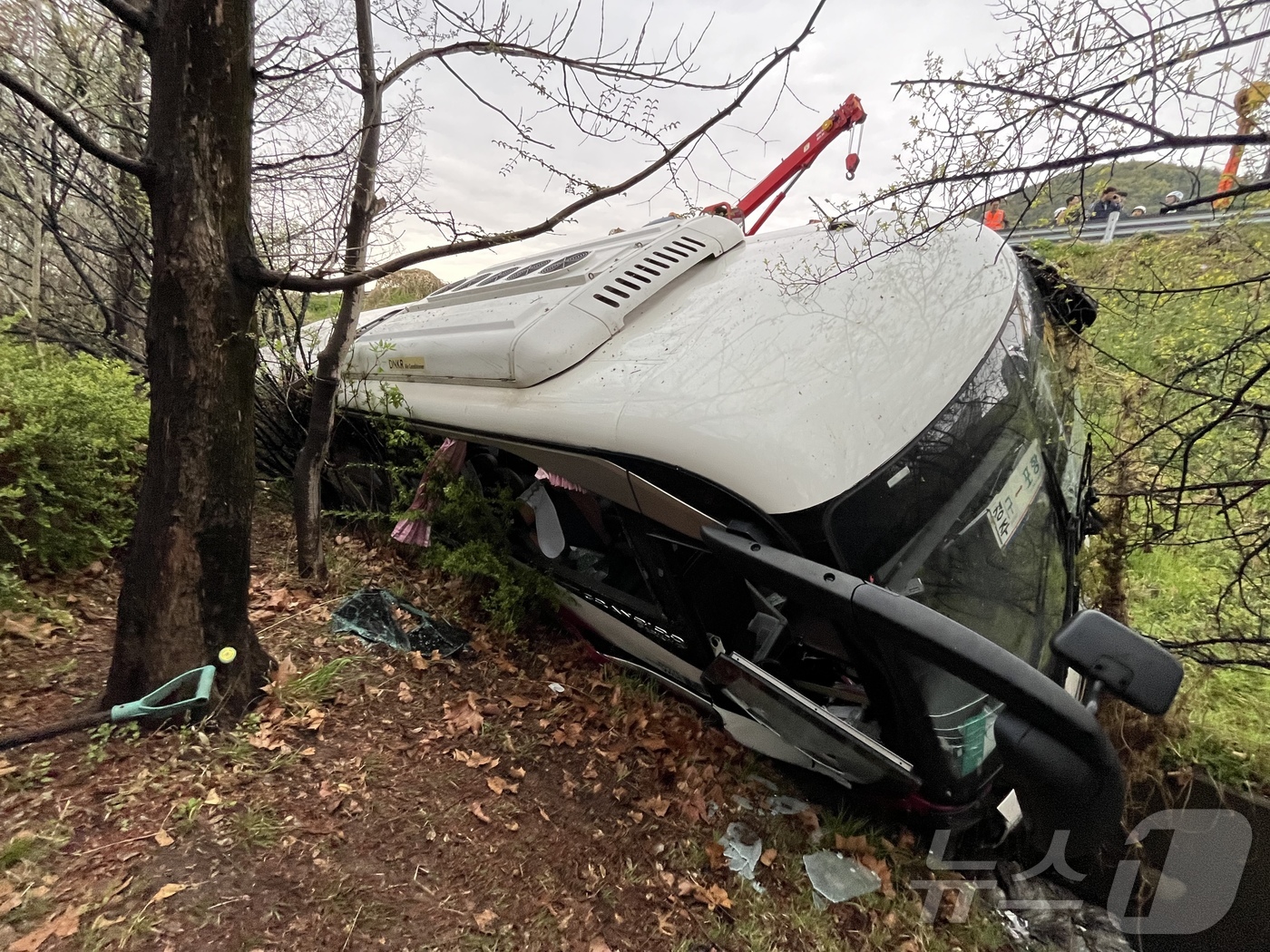 (대구=뉴스1) 공정식 기자 = 6일 오후 4시10분쯤 대구 북구 팔달동 금호분기점 인근에서 28인승 시외버스 1대가 가드레일을 들이받은 후 5m 아래로 추락했다. 이 사고로 경상 …