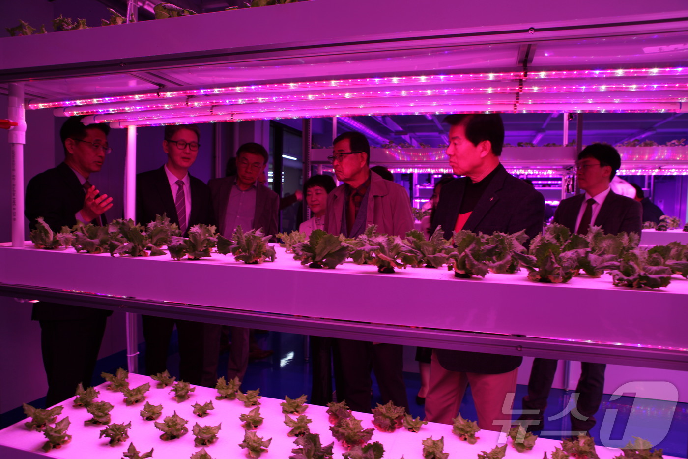 (대전=뉴스1) 김기태 기자 = 6일 중부대학교 충청국제캠퍼스에서 열린 '스마트팜 혁신허브' 개소식에서 이정열 총장, 박범인 금산군수, 김복만 충남도의원, 권영선 금산교육지원청 교 …