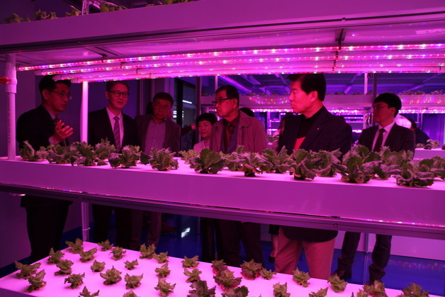 중부대 '스마트팜 혁신허브' 개소