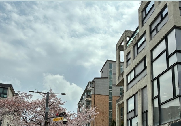 성유리, 핑클 이진이 촬영해 준 사진에 귀여운 불평 "개미만하게 찍어놨네"