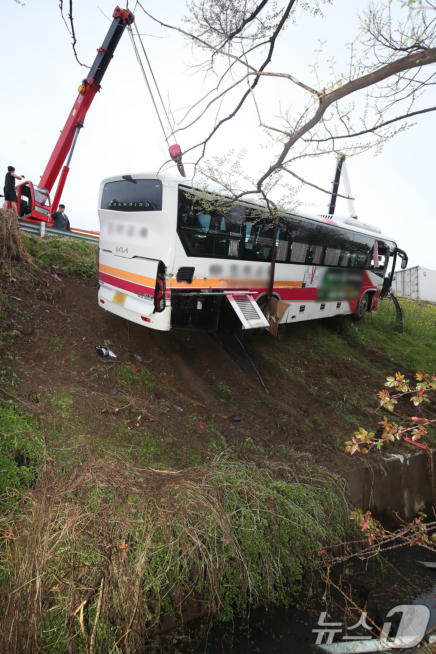 (대구=뉴스1) 공정식 기자 = 6일 오후 4시 10분쯤 대구 북구 팔달동 금호분기점 인근 고속도로에서 승객 8명이 탑승한 시외버스 1대가 가드레일을 들이받은 후 약 10m 아래로 …
