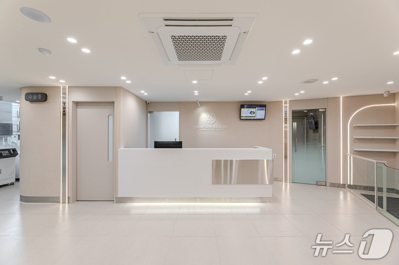 본문 이미지 - 반포베이스동물의료센터 내부(동물병원 제공) ⓒ 뉴스1