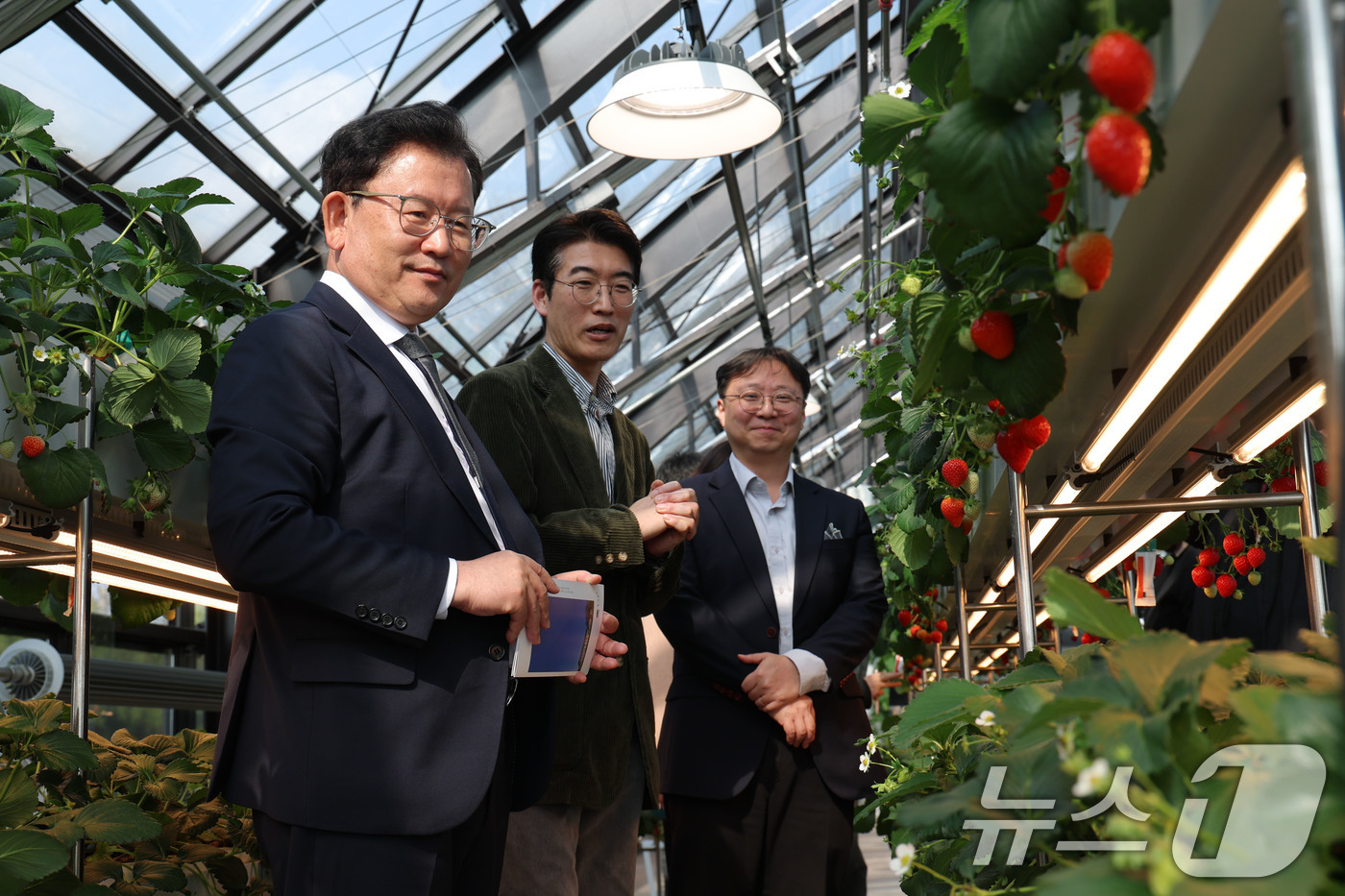 (서울=뉴스1) = 이승돈 농촌진흥청장이 6일 충남 천안시의 도시형 스마트팜 시설을 방문해 현장을 점검하고 있다. (농촌진흥청 제공. 재판매 및 DB 금지) 2026.4.6/뉴스1 …