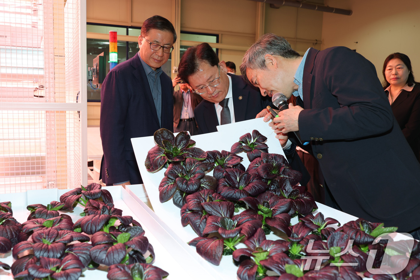 (서울=뉴스1) = 이승돈 농촌진흥청장이 6일 충남 천안시 연암대학교 스마트클러스터를 방문해 시설을 둘러보고 있다. (농촌진흥청 제공. 재판매 및 DB 금지) 2026.4.6/뉴스 …