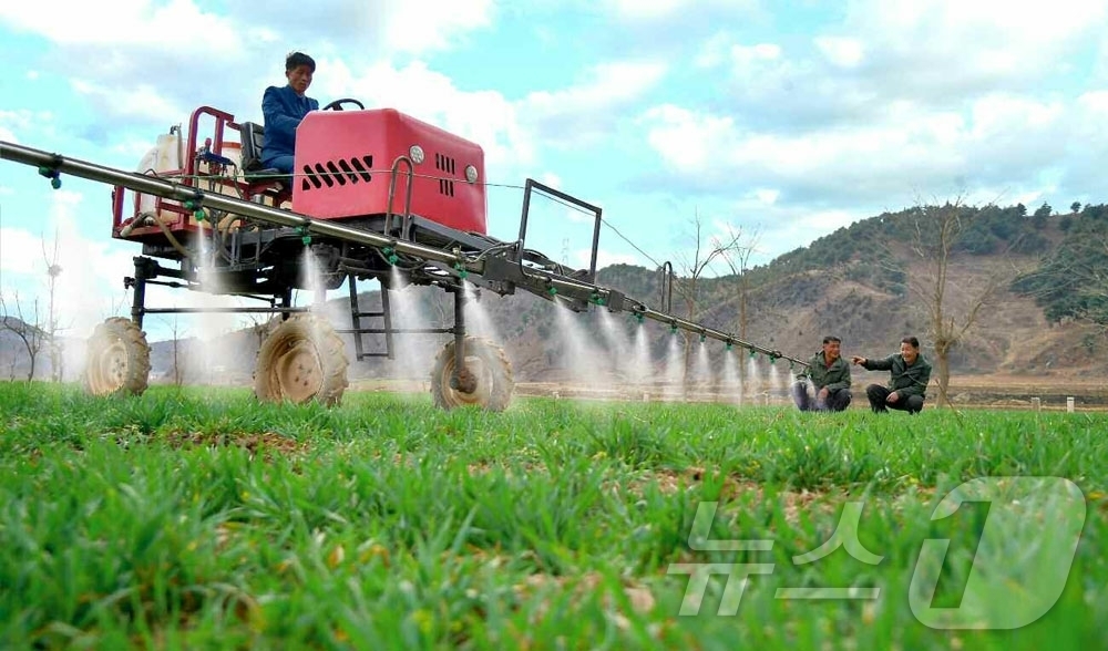 (평양 노동신문=뉴스1) = 북한 노동당 기관지 노동신문은 7일 서흥군 대록농장 농부들이 "높은 책임감을 지니고 비배관리를 과학기술적으로 해나가고 있다"고 보도했다.[국내에서만 사 …