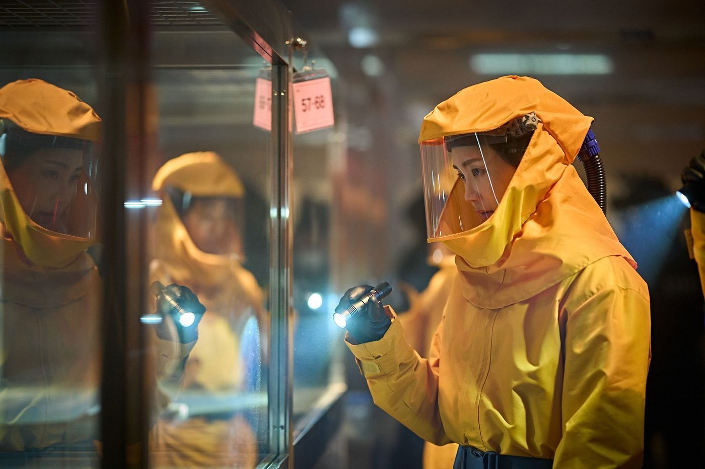 본문 이미지 - '군체' 스틸 컷