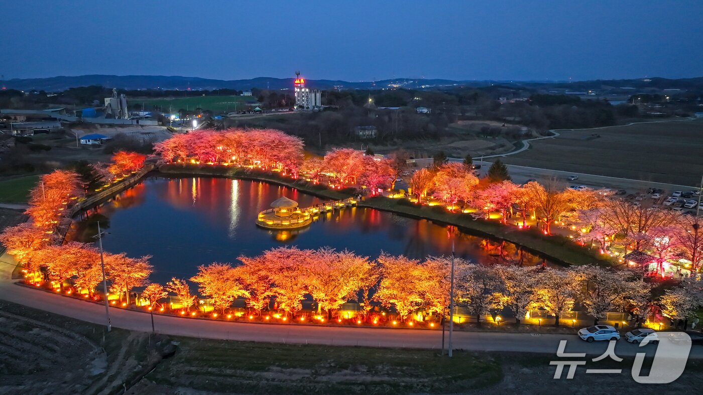 본문 이미지 - 면천 골정지 야경 모습(당진시 제공. 재판매 및 DB금지)2026.4.7