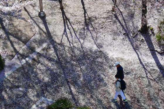 내일 아침도 영하 2도 '꽃샘추위'…일교차 15도 이상