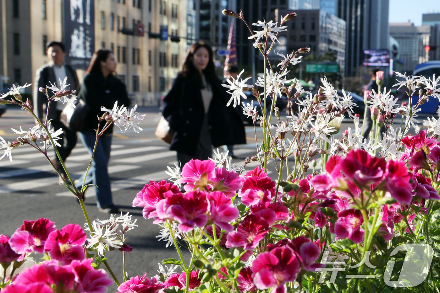 (서울=뉴스1) 황기선 기자 = 꽃샘추위가 찾아온 7일 오전 서울 광화문 사거리에서 출근길 시민들이 발걸음을 재촉하고 있다. 2026.4.7/뉴스1