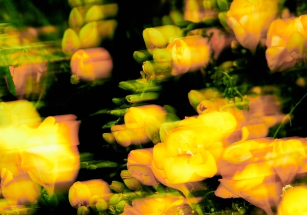 동해, 7일 정규 1집 선공개곡 발표…박재범 지원사격