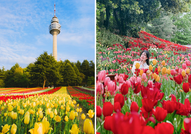 대구 이월드, 튤립과 함께 원더랜드로 "여행을 떠나요"