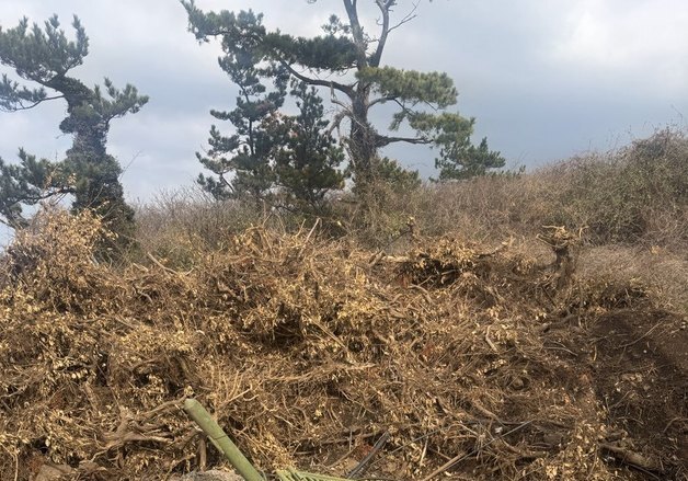 제주자치경찰, 농지에 공사 폐기물 34톤 버린 업체 송치