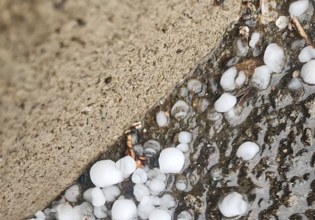 광주·전남 '500원 동전'크기 우박 원인은…상·하층 33도 기온차