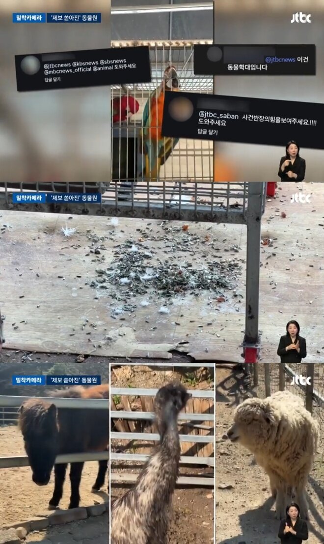 본문 이미지 - (JTBC 갈무리)