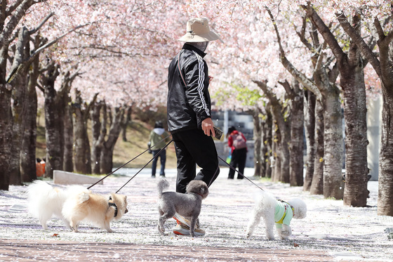 규제 빗장 풀고 유전자검사 기반 반려견 등록 서비스 나온다
