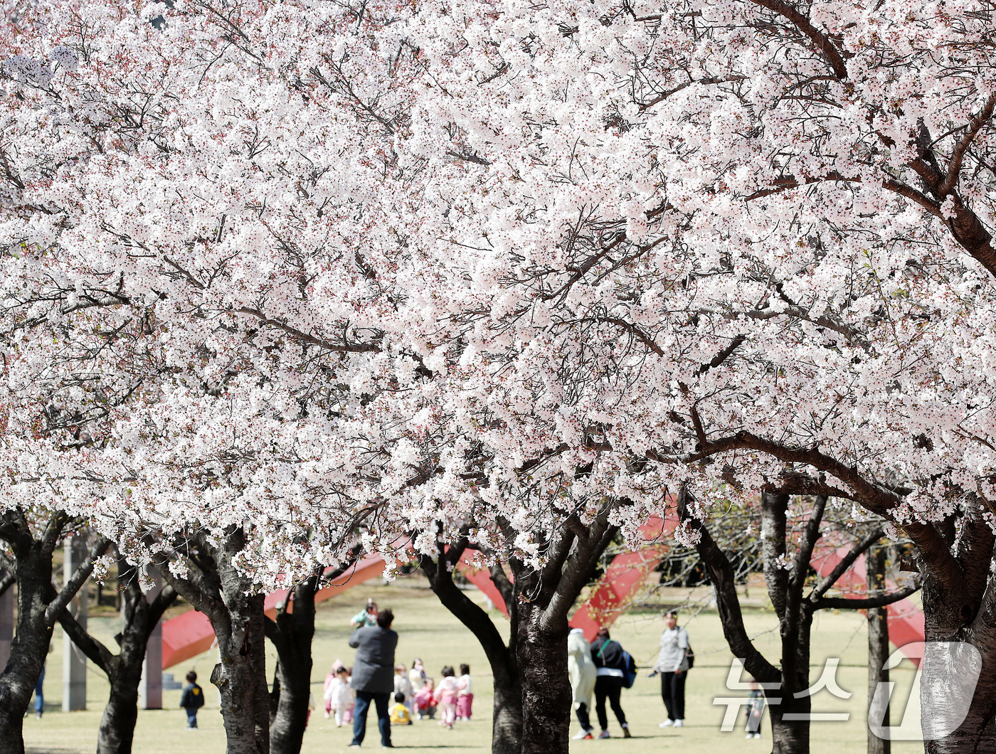 (대구=뉴스1) 공정식 기자 = 7일 대구 수성구 대구스타디움으로 소풍 나온 어린이들이 벚꽃길 옆 잔디밭에서 즐거운 시간을 보내고 있다. 2026.4.7/뉴스1