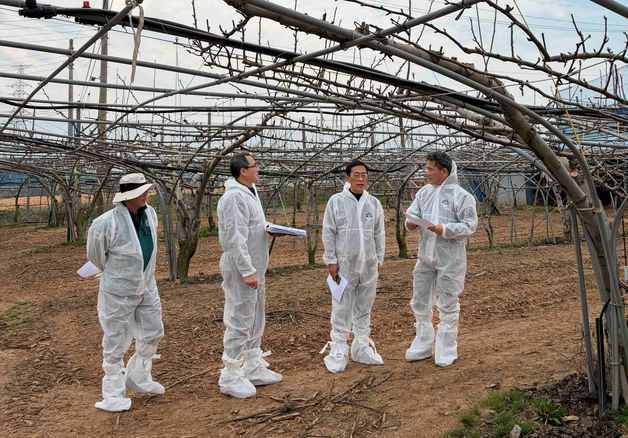 "이른 개화에 꽃샘추위까지"…전남도, 나주배·매실 농가 냉해 주의보