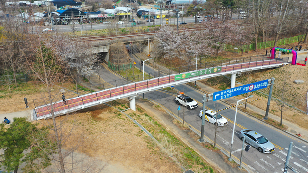 "동서 화합의 숲길"…안산시, 용신고가 철로변 녹지 일대 보도교 준공