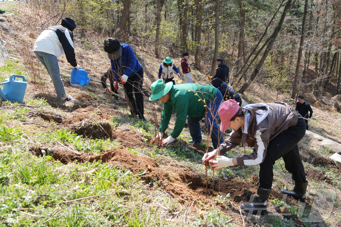 (서울=뉴스1) = 새마을운동중앙회는 ‘2050 탄소중립 실천’을 목표로 올해부터 5년간 총 200만 그루의 나무를 심는 녹색 새마을운동을 본격 추진한다고 7일 밝혔다. 사진은 7 …