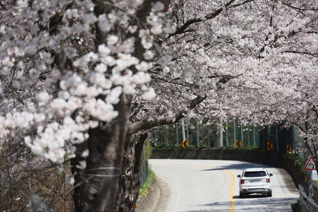 내일 아침 최저 -2도 '꽃샘추위'…미세먼지 없이 대기질 '양호'