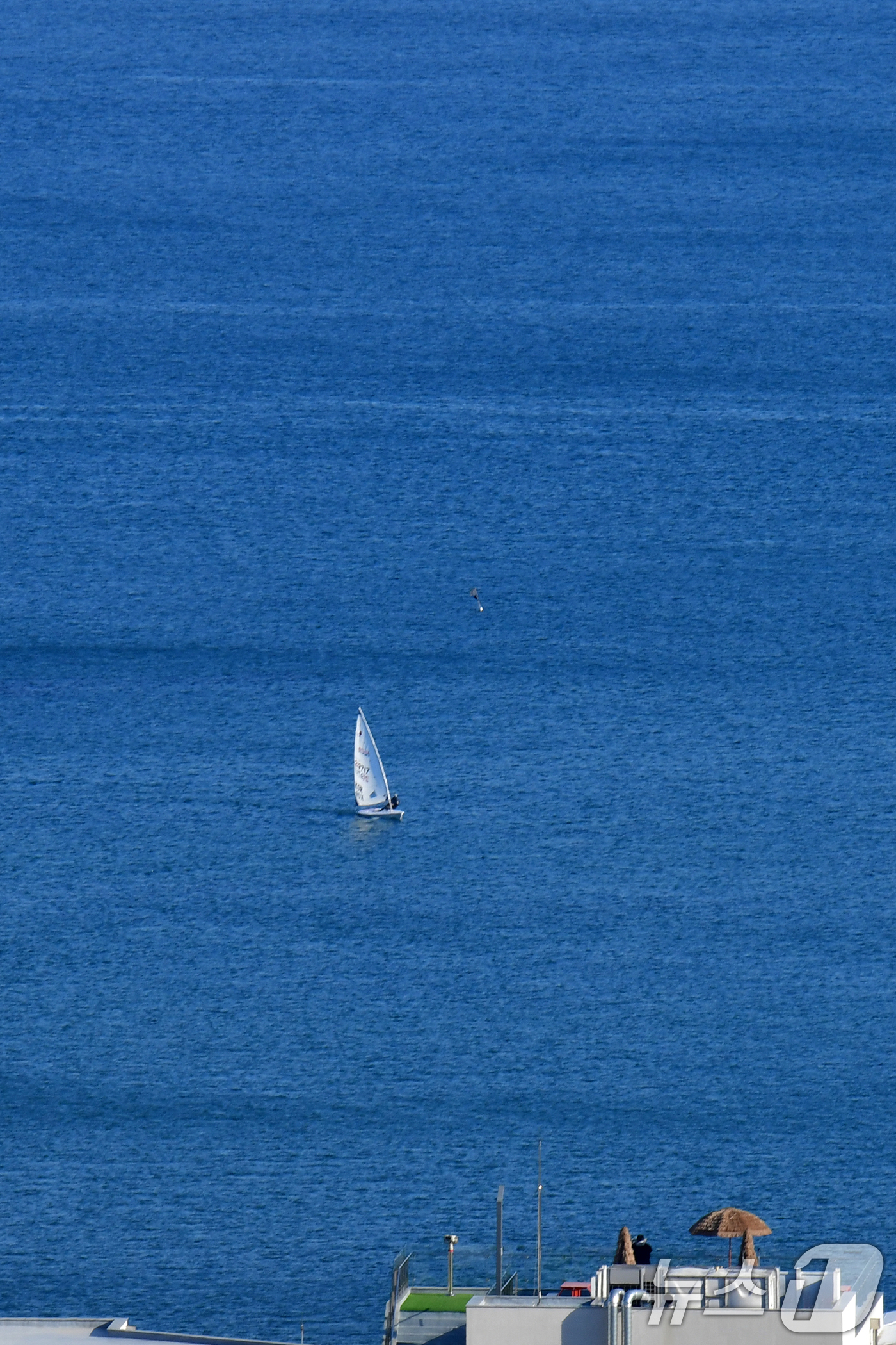 (포항=뉴스1) 최창호 기자 = 7일 오후 경북 포항시 북구 영일대해수욕장 앞 바다에서 딩기요트가 봄 바람을 타고 달리고 있다.  2026.4.7/뉴스1