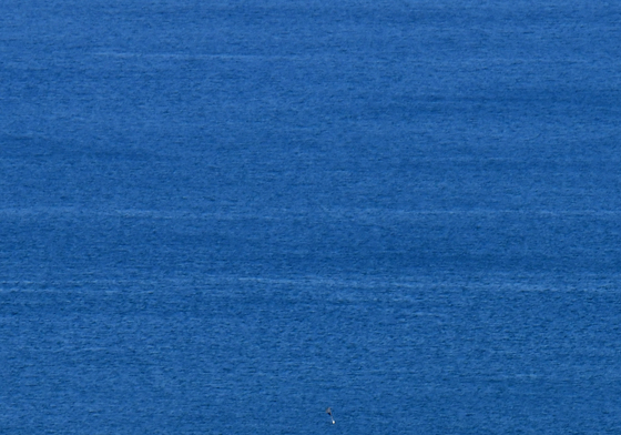 봄바람 타고 살랑살랑