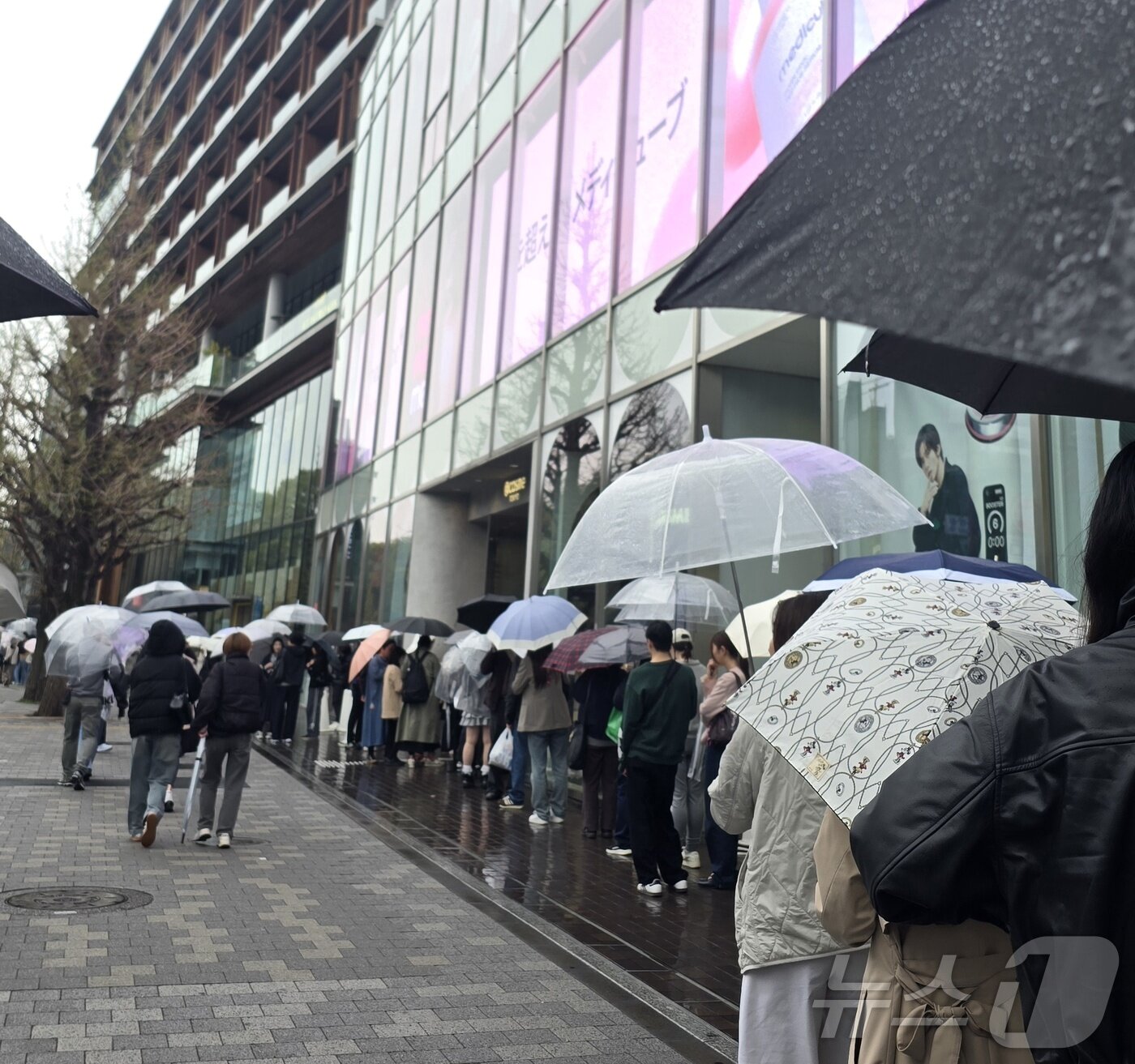 본문 이미지 - 지난 4일 찾은 일본 도쿄도 시부야구 진구마에 하라주쿠역 인근 화장품 전문점 '@코스메 도쿄'(@cosme TOKYO)에 입장하기 위해 줄서 있는 고객들. ⓒ 뉴스1 최소망