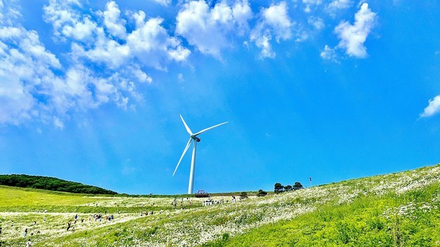 평창군, '청옥산 야생화 생태 단지' 개장
