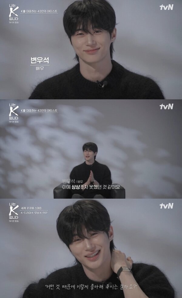 본문 이미지 - tvN '나는 K입니다' 캡처