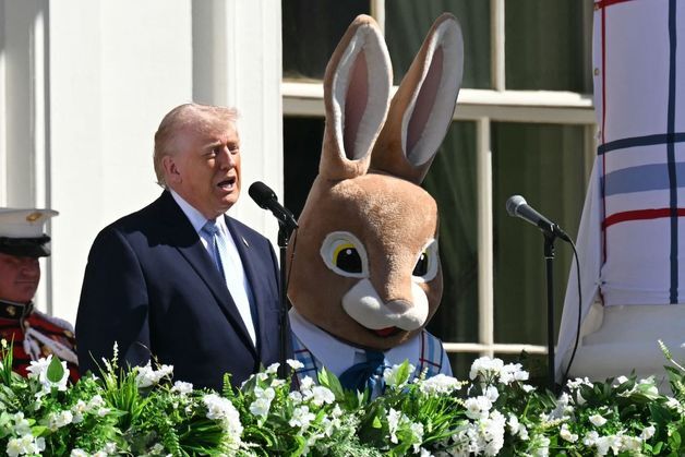 "미친 놈들" 욕설 이어 "문명 파괴"…트럼프 정신건강 괜찮은가