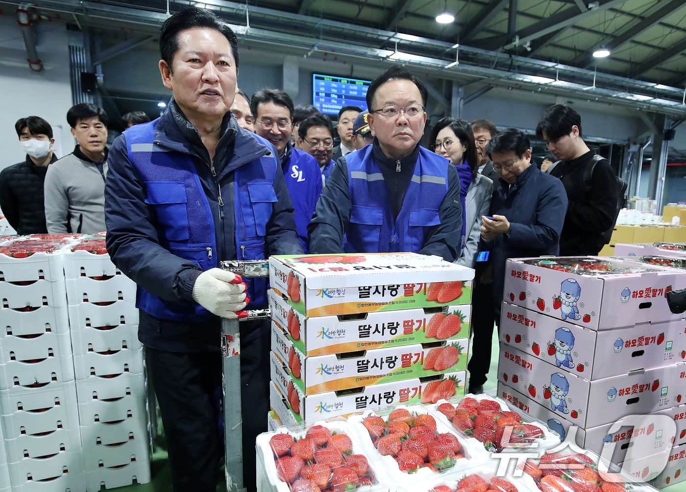 (대구=뉴스1) 공정식 기자 = 8일 오전 대구 북구 대구농수산물도매시장에서 민생 현장 체험에 나선 정청래 더불어민주당 대표와 대구시장 선거에 출마한 김부겸 전 총리가 경매에서 낙 …