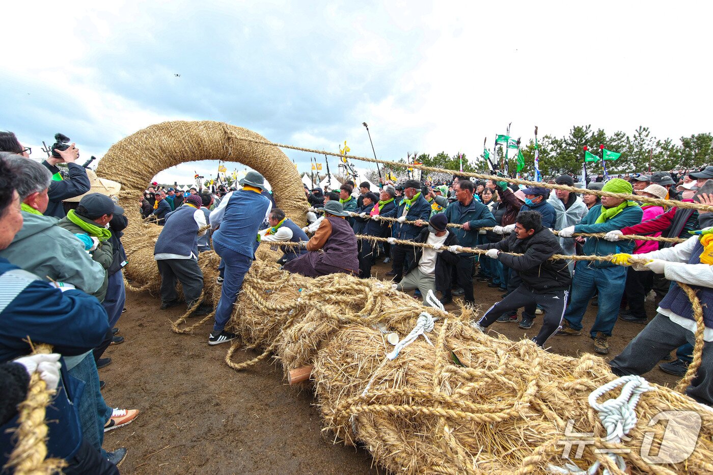 본문 이미지 - 지난해 기지시줄다리기 행사 모습(당진시 제공. 재판매 및 DB금지)2026.4.8/뉴스1