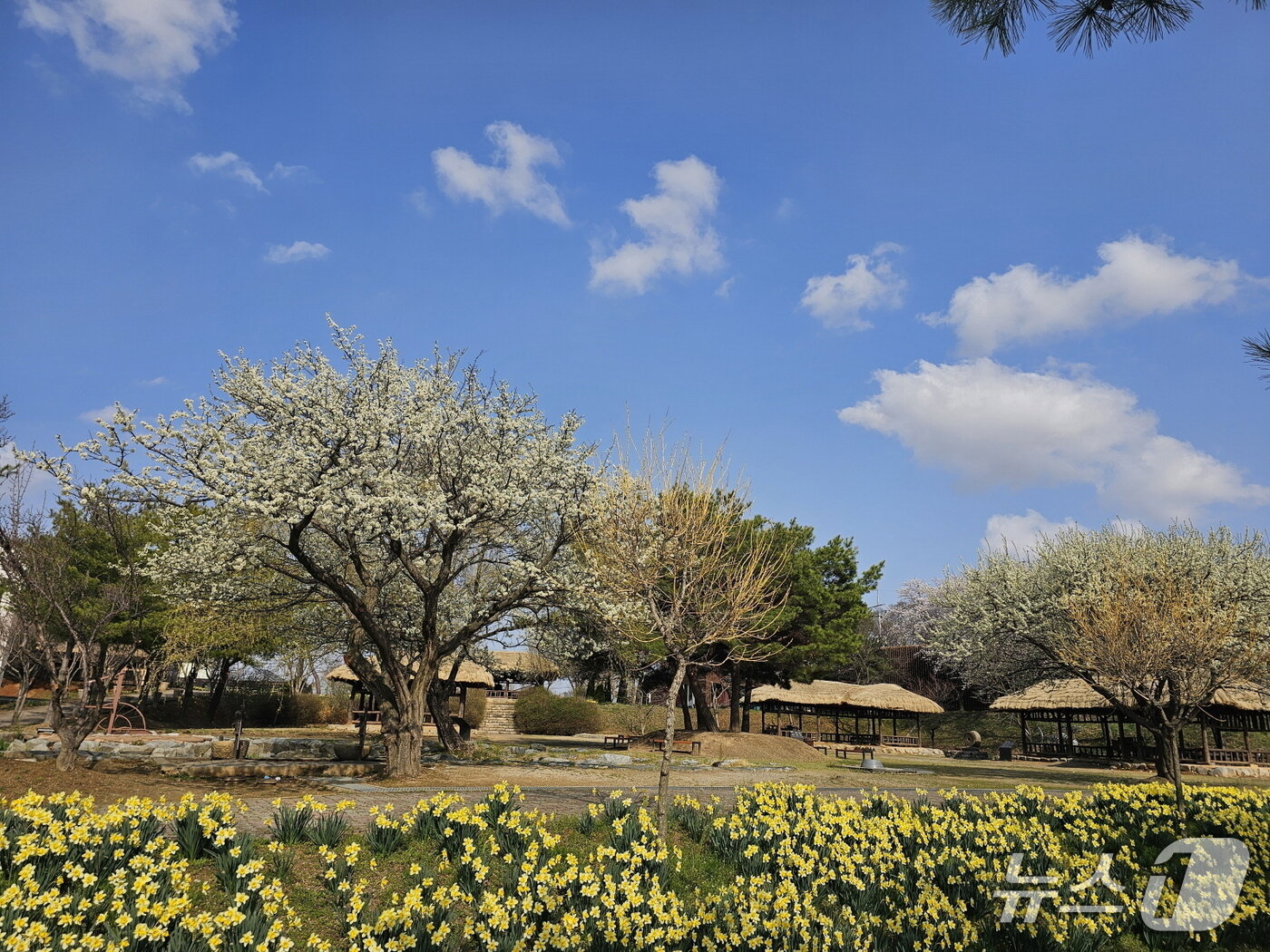 본문 이미지 - 당진 합덕제 전경(당진시 제공. 재판매 및 DB금지)2026.4.8/뉴스1