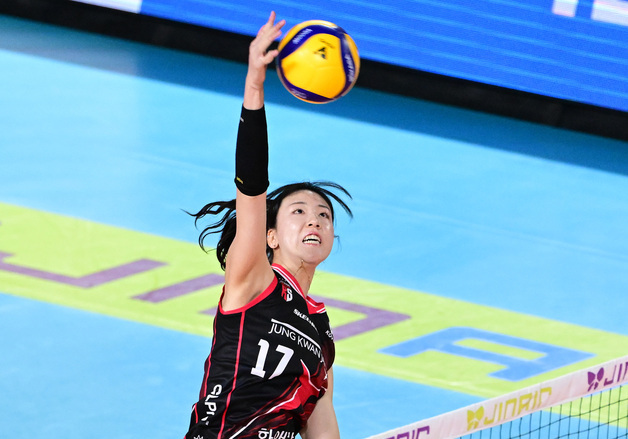 '최대어' 정호영 행선지는 어디?…여자배구 FA 시장 열렸다