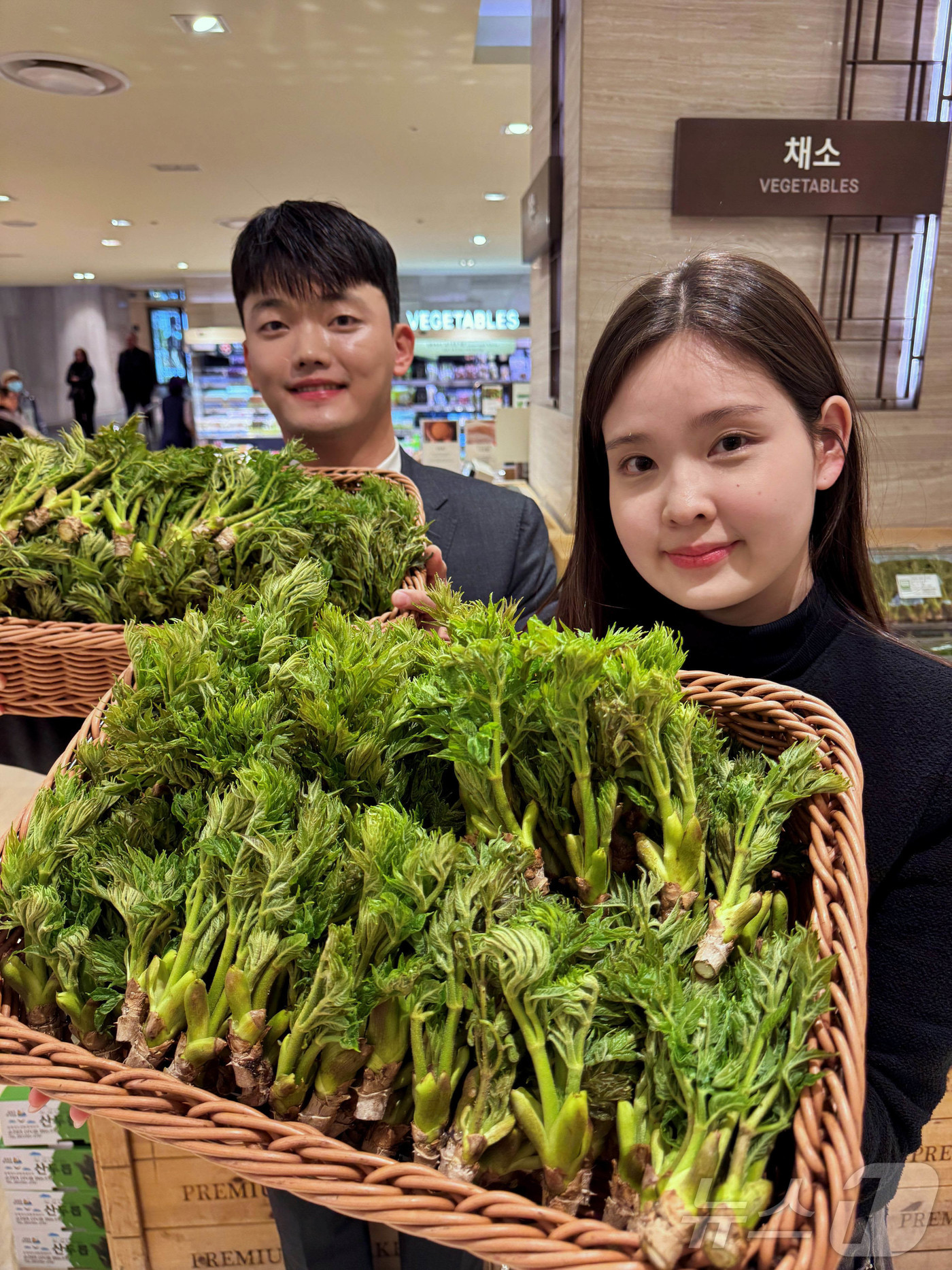 (서울=뉴스1) = 롯데백화점이 오는 10일부터 16일까지 수도권 16개 점포에서 전북 순창 '햇 참두릅'을 선보인다고 8일 밝혔다. 사진은 서울 중구 롯데백화점 본점 지하 1층에 …